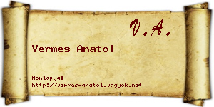 Vermes Anatol névjegykártya